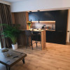 2 camere | Banesa | Sisesti | Herastrau | Casa Presei | Pet Friendly thumb 6