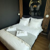 2 camere | Banesa | Sisesti | Herastrau | Casa Presei | Pet Friendly thumb 10