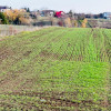 TEREN INTRAVILAN | BALOTESTI | DESCHIDERE 40 M LA LAC | 9.919 MP | LAHOVARI | thumb 1
