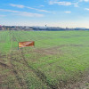 TEREN INTRAVILAN | BALOTESTI | DESCHIDERE 40 M LA LAC | 9.919 MP | LAHOVARI | thumb 3