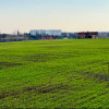 TEREN INTRAVILAN | BALOTESTI | DESCHIDERE 40 M LA LAC | 9.919 MP | LAHOVARI | thumb 4